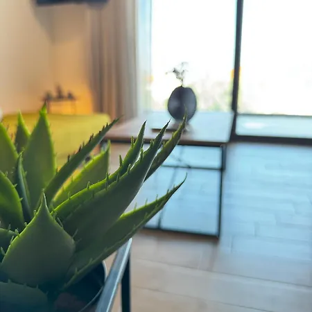 Mente Azul Nyaraló